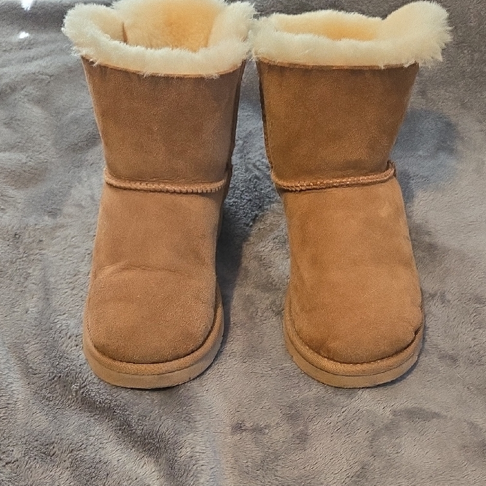 UGG Chestnut Boots with Soft Lining